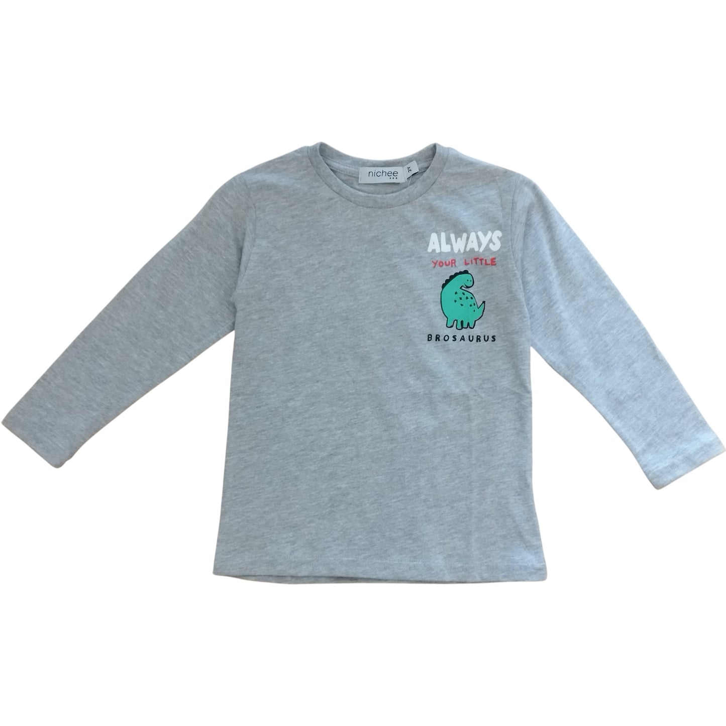 Maglia Bambino Manica Lunga Grigia con Dinosauro